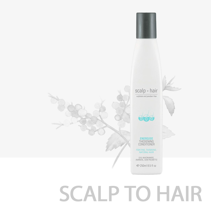 nak hair scalp to hair energise conditioner
