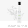 nak hair scalp to hair revitalise shampoo